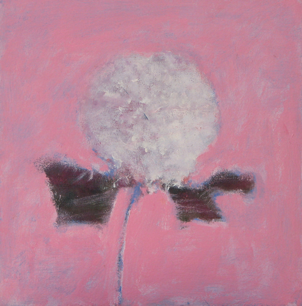 5.	Chrysanthemum on Pink  “15 x15”  2006